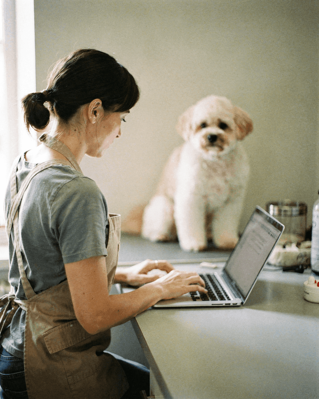 Dog groomer typing on a laptop at her front desk, a groomed dog in the background